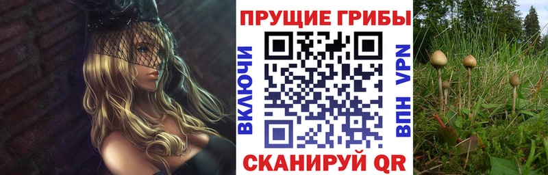Псилоцибиновые грибы Cubensis  купить  цена  Старый Крым 